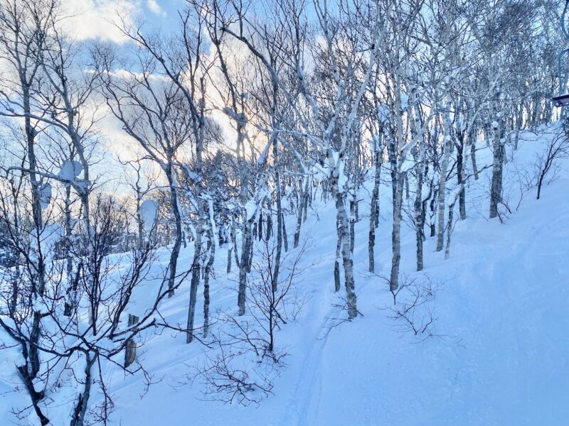 Hokkaido, Japan. Image © PlanetSKI